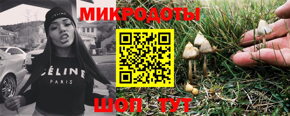 Псилоцибиновые грибы GOLDEN TEACHER Ноябрьск