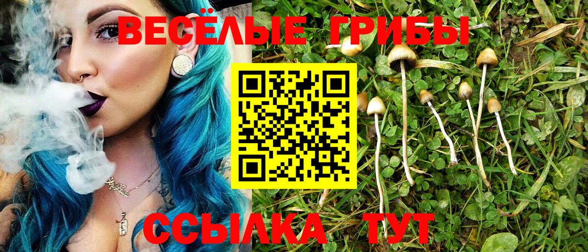 Ноябрьск  Галлюциногенные грибы прущие грибы  Вход с VPN 